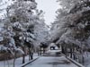 Next picture :: Wallpaper - Quetta Snowfall January 2012 (12) - 4608 x 3456